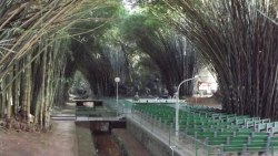 Momento de descontração no Parque das Águas Caxambu e São Lourenço - MG