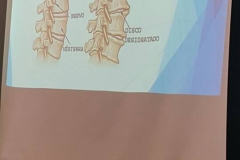 Palestra-Osteoartrite2017-5