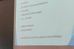 Palestra-Osteoartrite2017-7