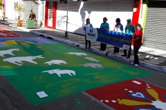 65089633_908718772801540_2331542195137413120_n