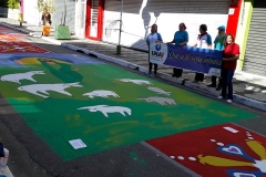 65314979_908718896134861_131240211857276928_n