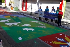 65433921_908718929468191_5209753067569807360_n