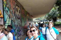 59797531_875873812752703_2601031047701331968_n