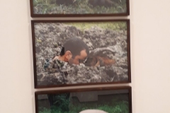 59821276_875871476086270_6219586486874931200_n