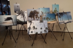 59826517_875872239419527_1714254922532257792_o