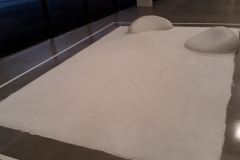 60048569_875871096086308_3628535147873173504_n